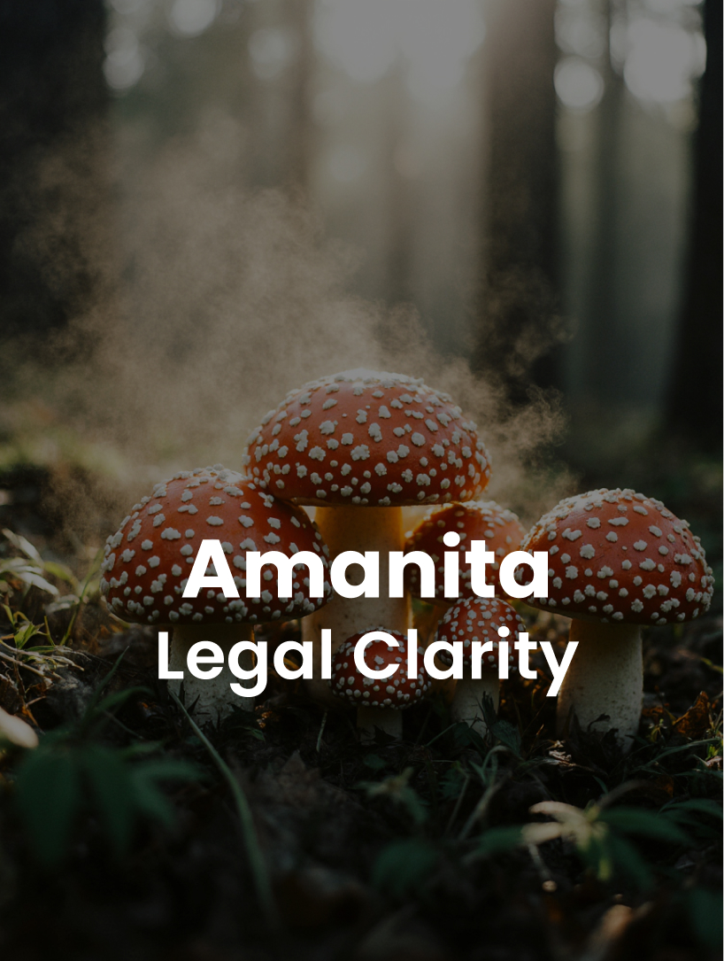 Amanita, Legal Clarity