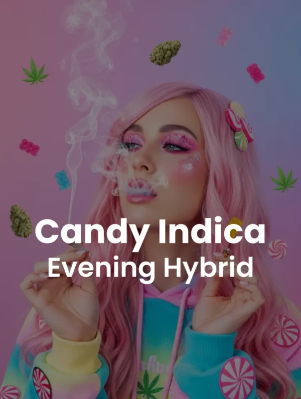 Candy Indica Strain: Sweet THCA Pre-Roll Effects Guide