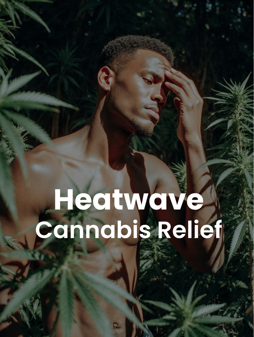 Heatwave, Cannabis Relief