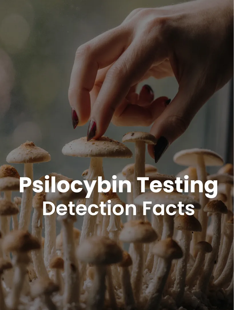 Drug Testing for Psilocybin, Compared to Cannabis