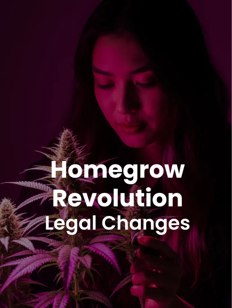 Medical Weed at Home, Legal Homegrow Scene in 2025