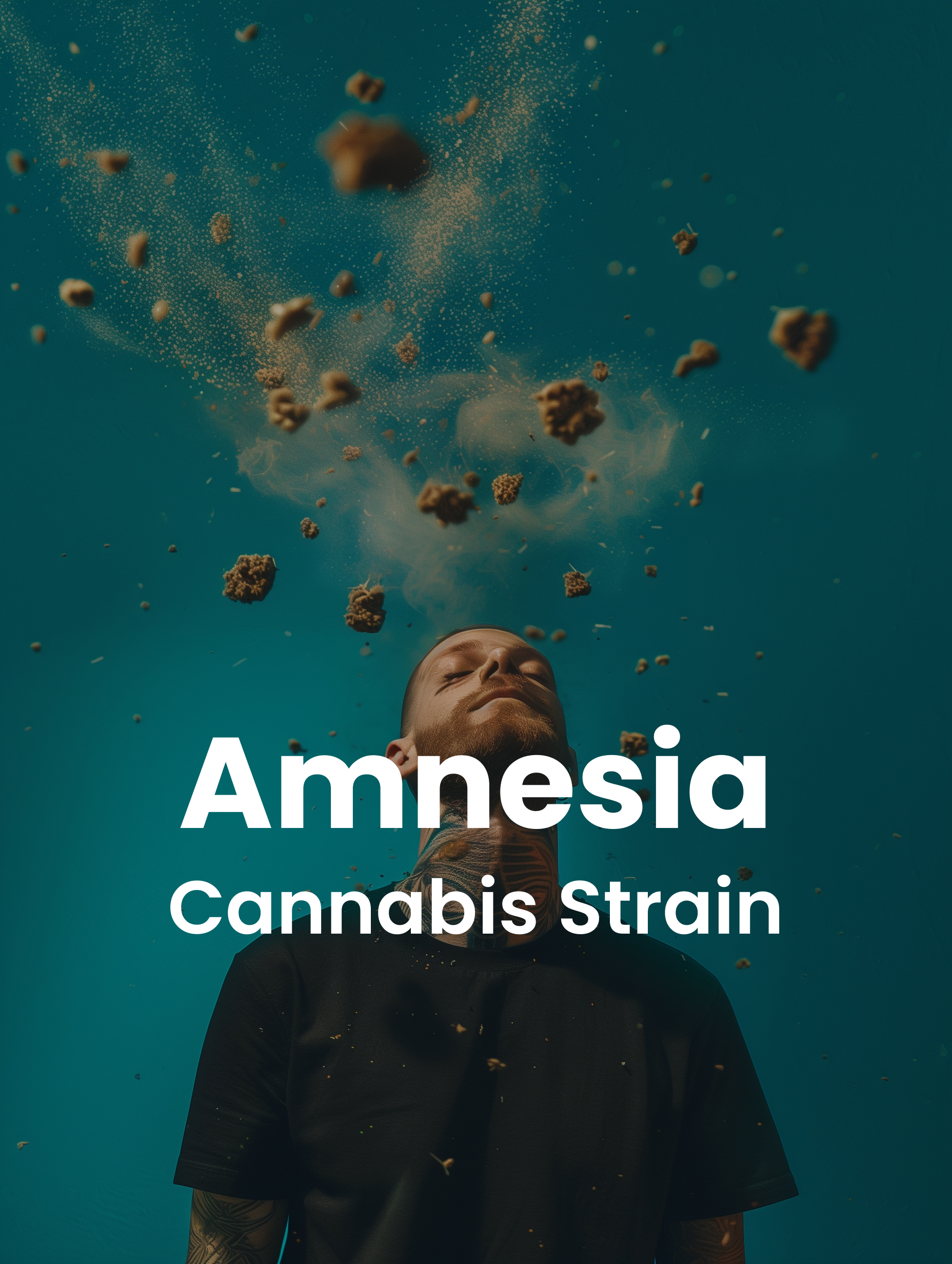 Amnesia Cannabis Strain
