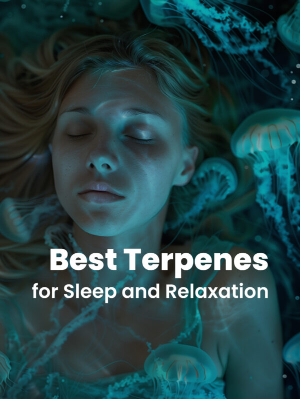 Best Terpenes for Sleep and Relaxation