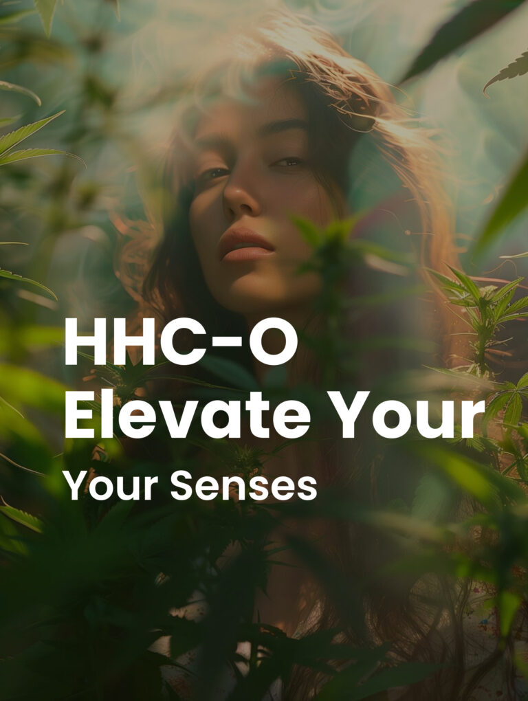 HHC-O Elevate Your Senses