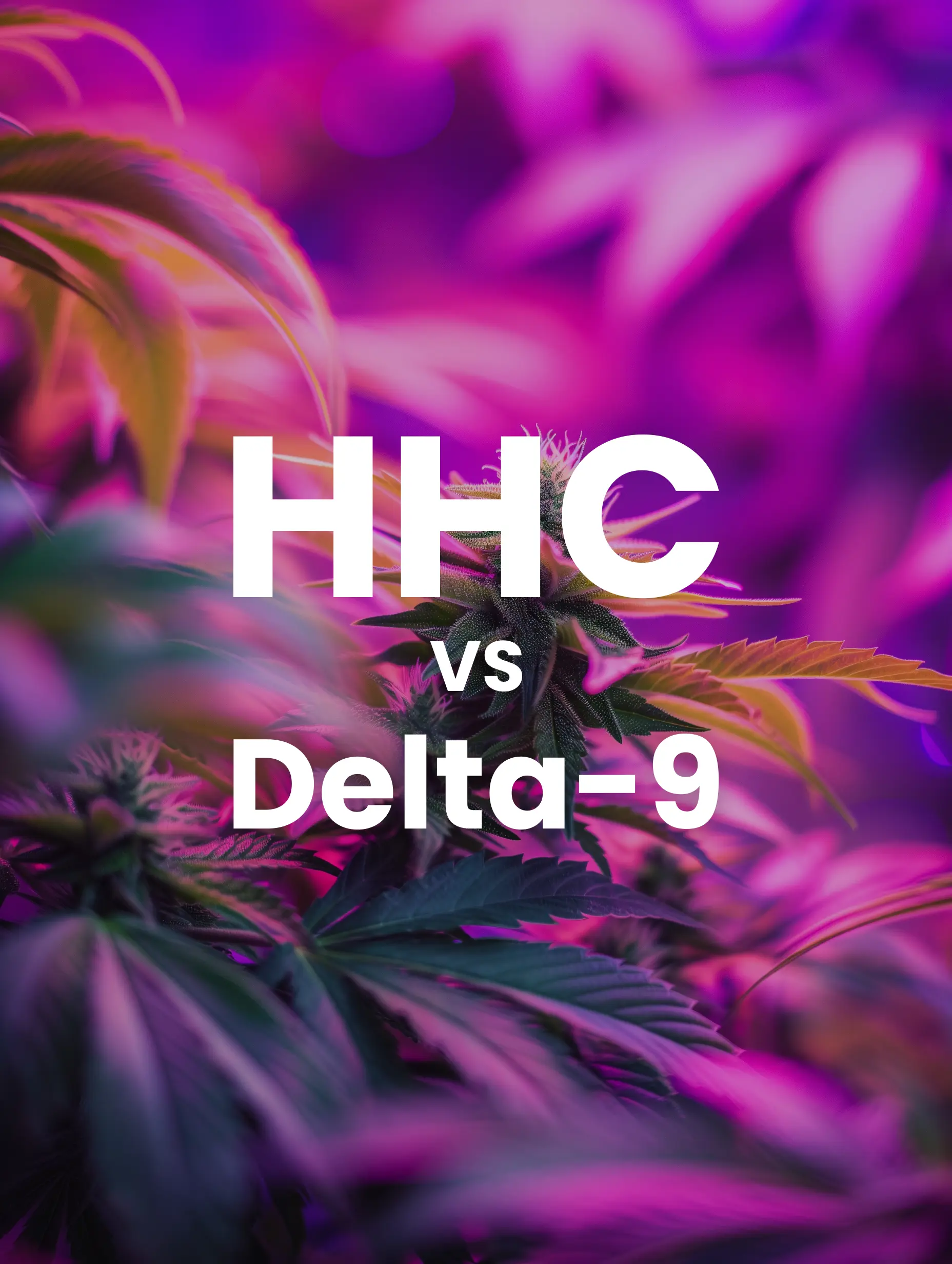 HHC vs Delta 9
