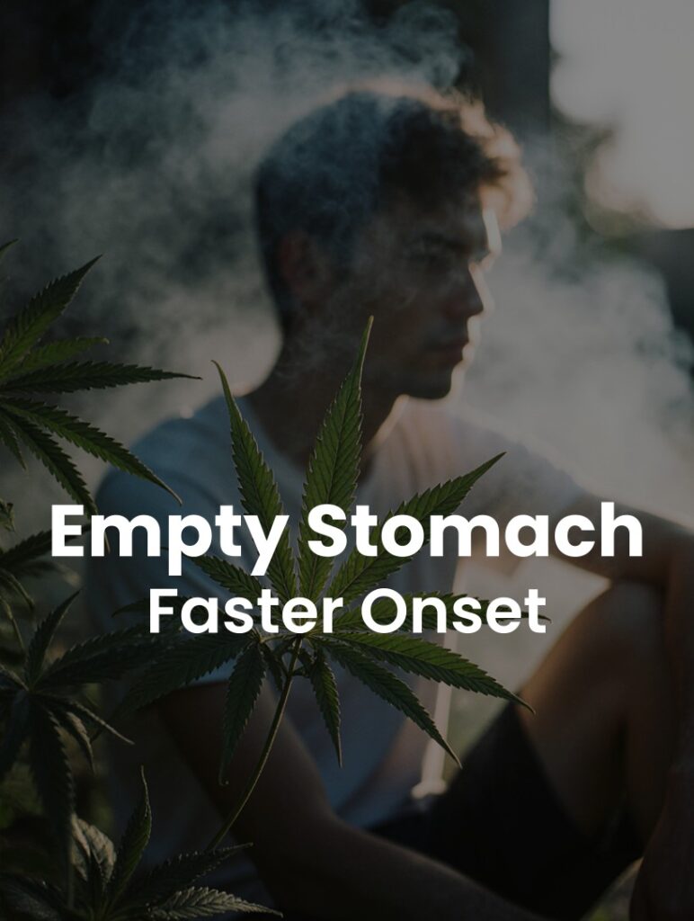 THC Gummies: Empty Stomach vs. With Food Effects Compared