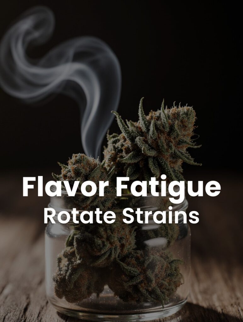 Cannabis Flavor Fatigue: Why Your Favorite Strains Taste Bland