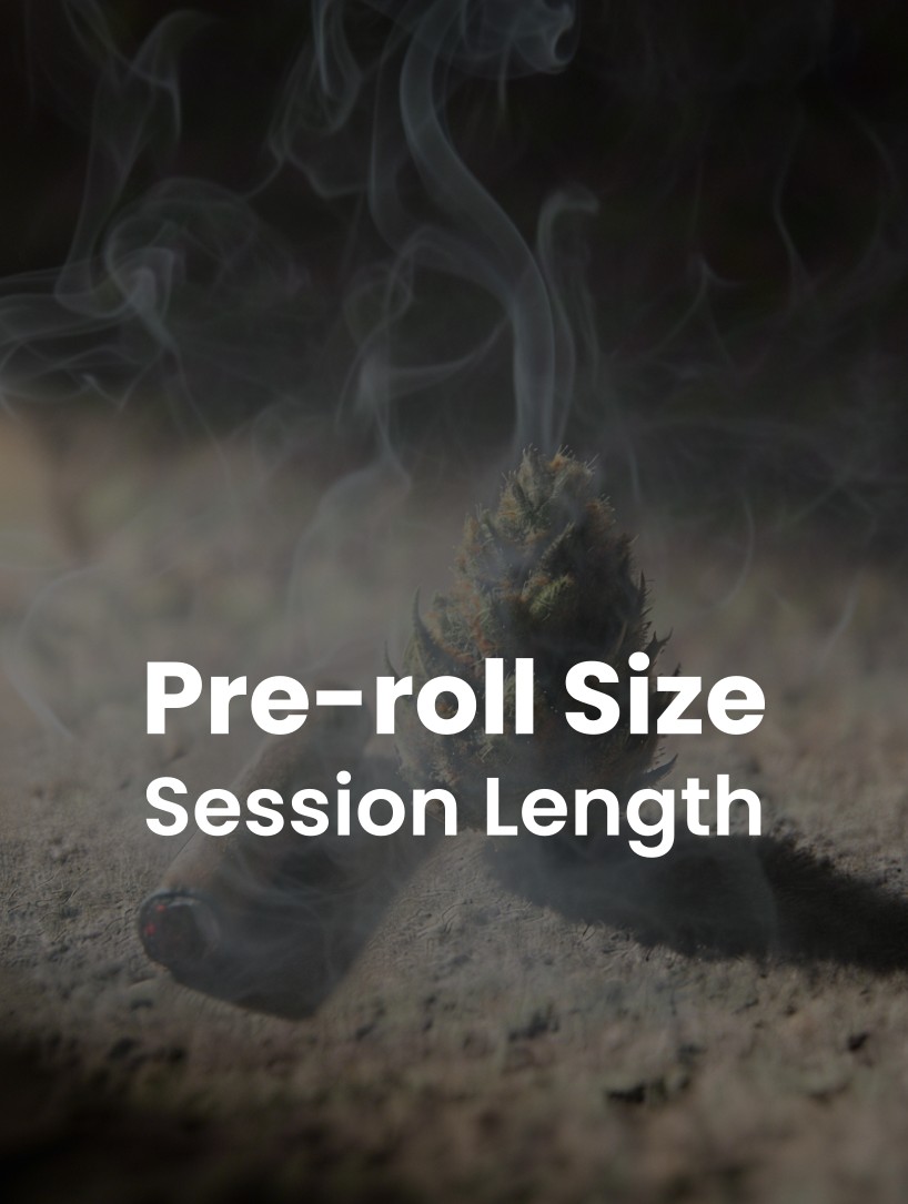 Pre-Roll Size Guide: Short vs King Cannabis Joints