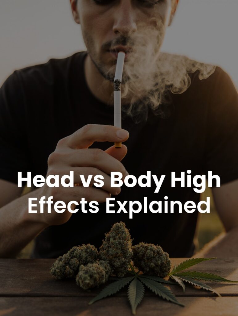 Cannabis Head High vs Body High: Effects Explained