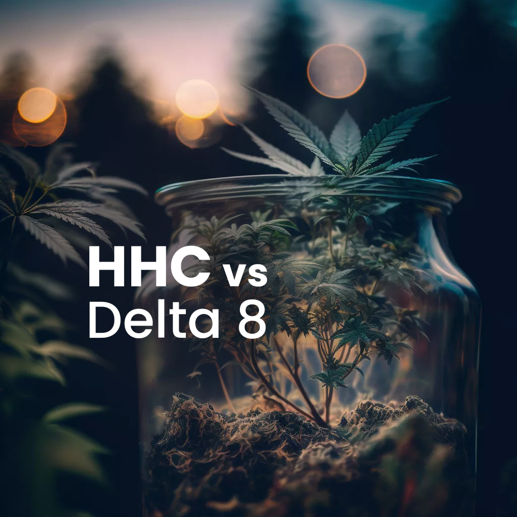 HHC vs Delta 8 Comparison