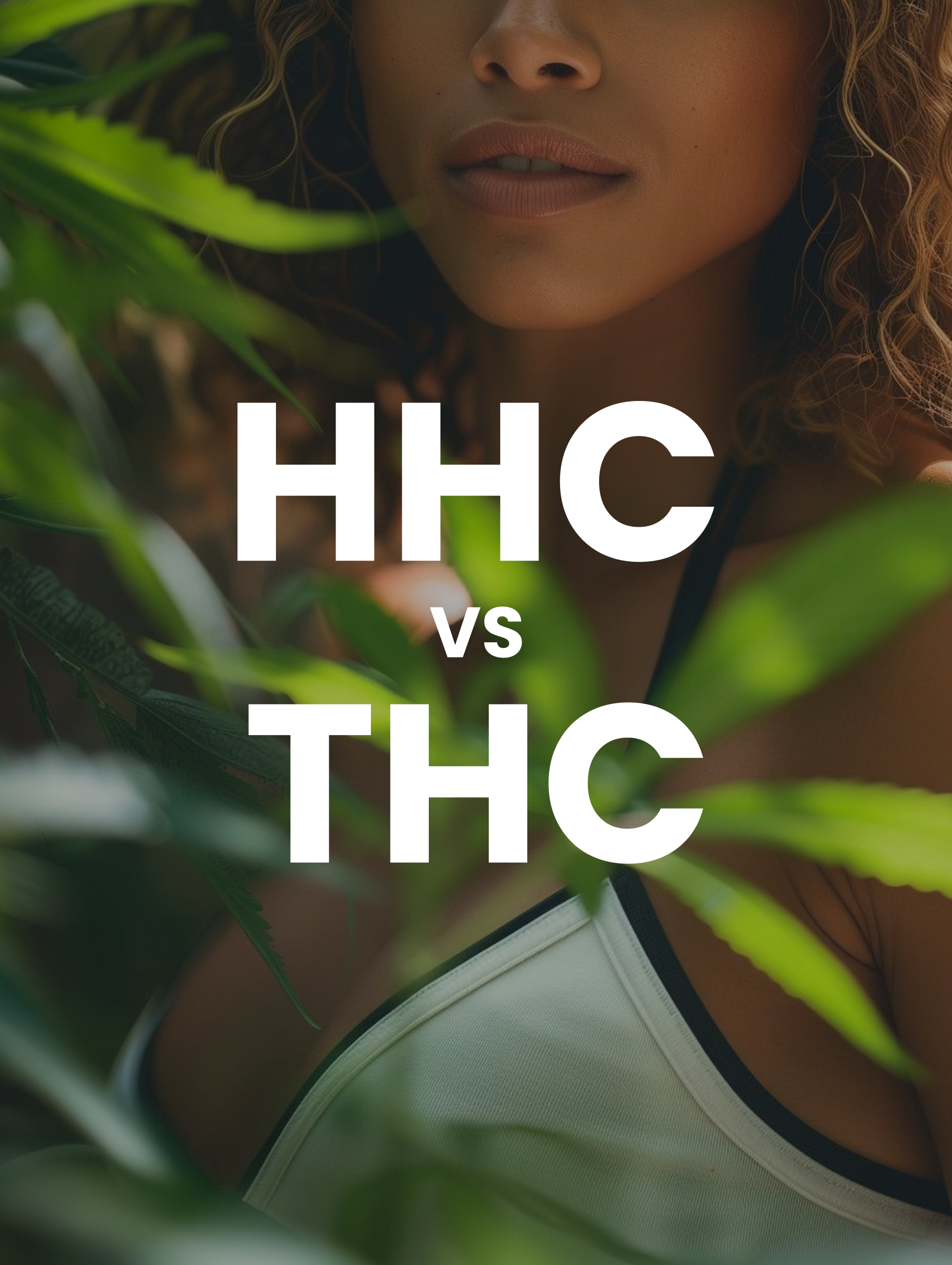 hhc vs thc