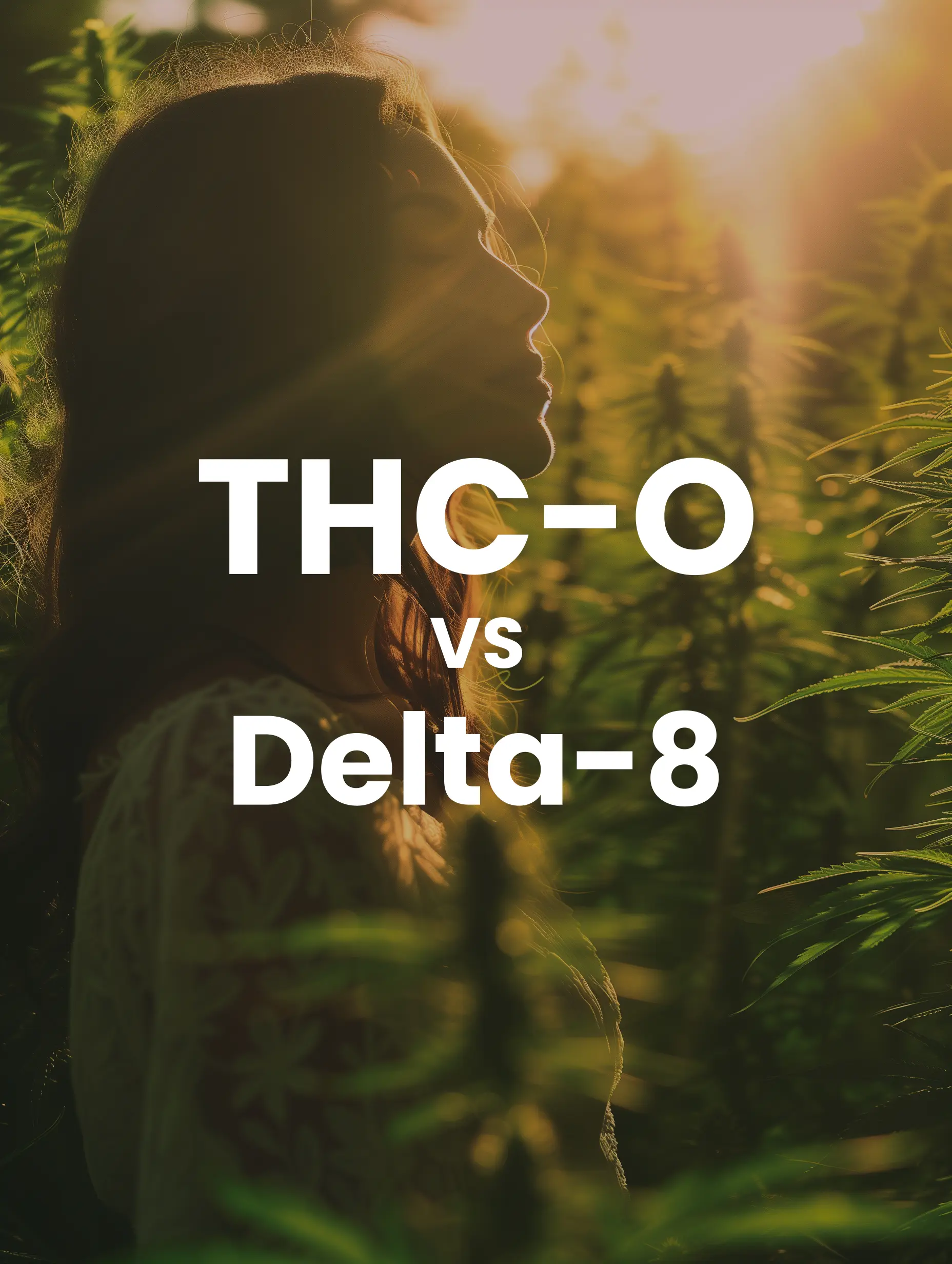 thc-o vs delta-8